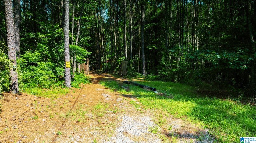 Discover 36.1 acres of wooded land offering privacy, lake views - photo 20