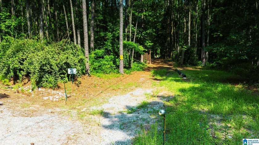 Discover 36.1 acres of wooded land offering privacy, lake views - photo 21