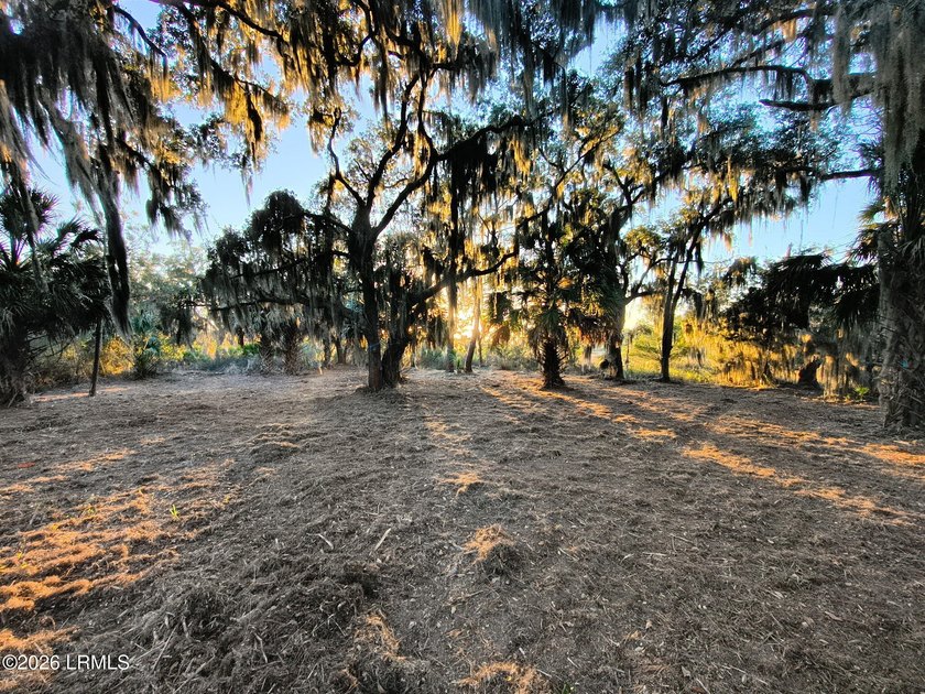 Beautiful marshfront homesite offering over an acre with survey - photo 3