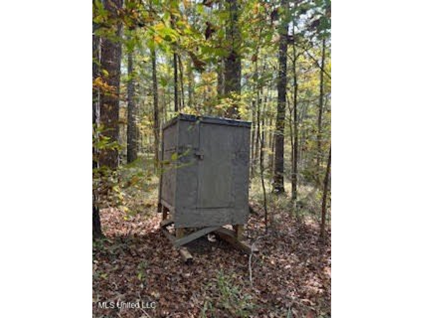 100 Acres of Hardwood &amp; Pine Timber - Recreational Tract Near - photo 25