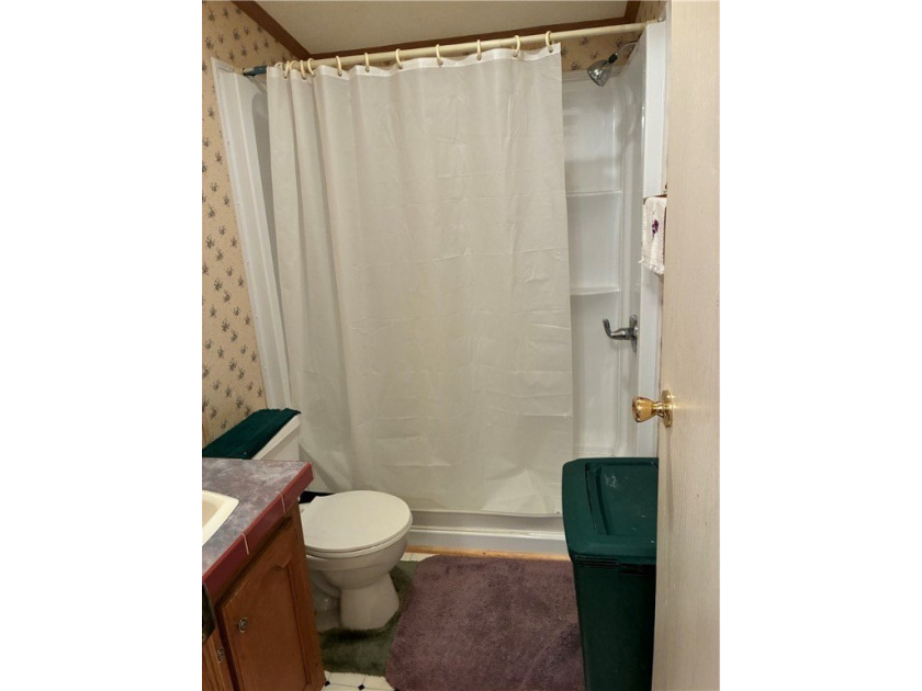 Located in between Lansing and Groton this well kept home, set - photo 25
