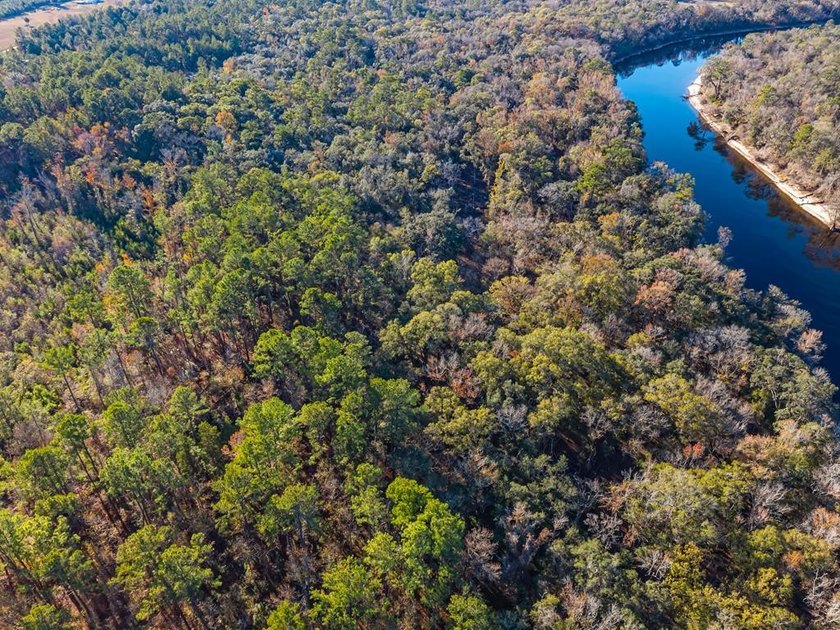 Country living at its best on this stunning 59-acre tract along - photo 2