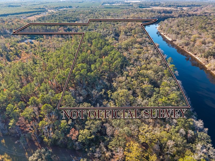 Country living at its best on this stunning 59-acre tract along - photo 3