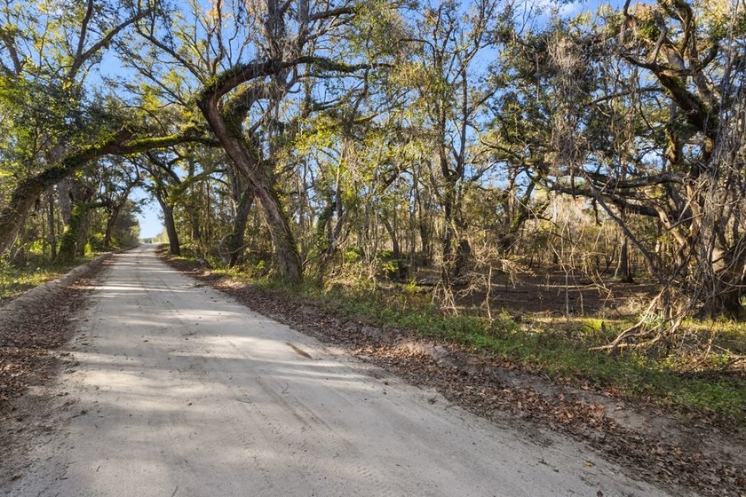 Country living at its best on this stunning 59-acre tract along - photo 4