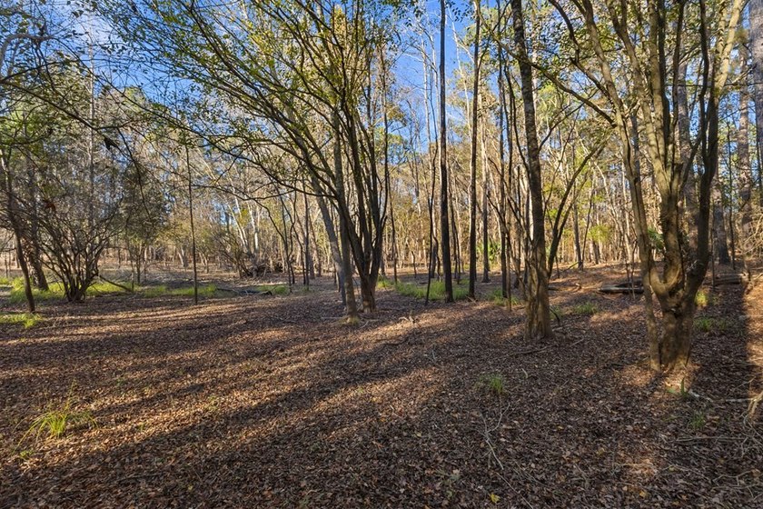 Country living at its best on this stunning 59-acre tract along - photo 5