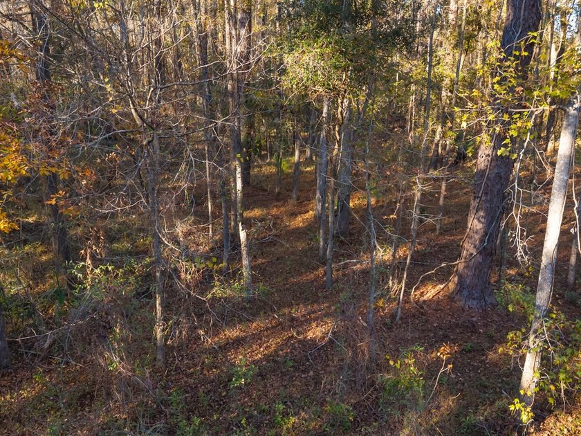 Country living at its best on this stunning 59-acre tract along - photo 8