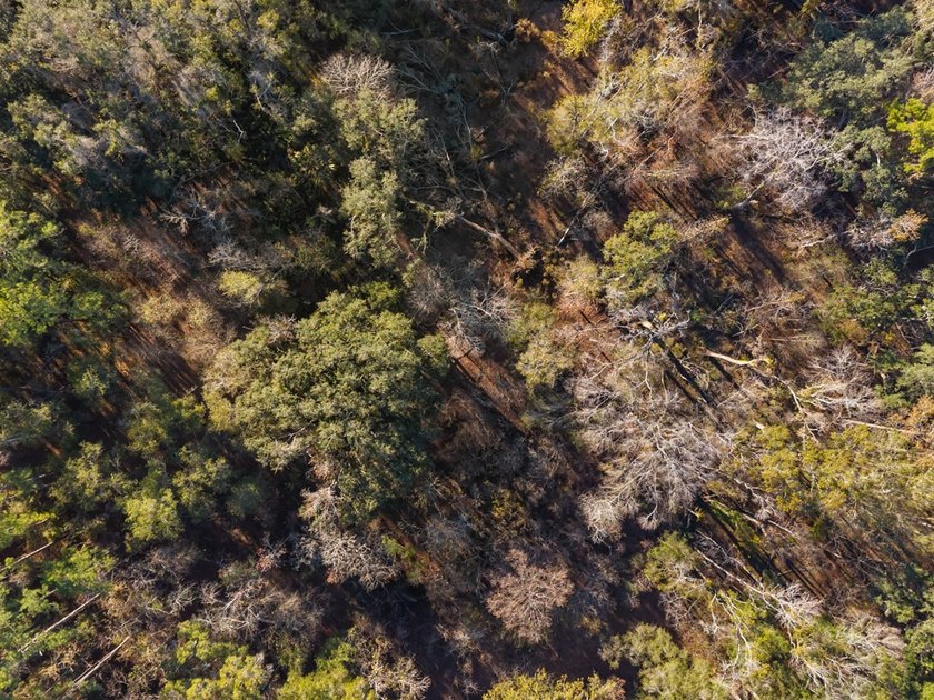 Country living at its best on this stunning 59-acre tract along - photo 10