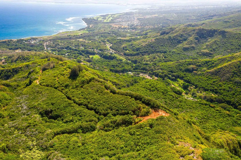 Pristine 370 acres located in Waihe'e Valley on the North Shore - photo 14