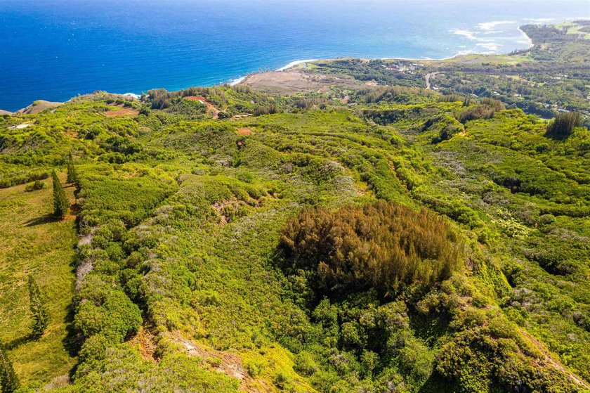 Pristine 370 acres located in Waihe'e Valley on the North Shore - photo 15