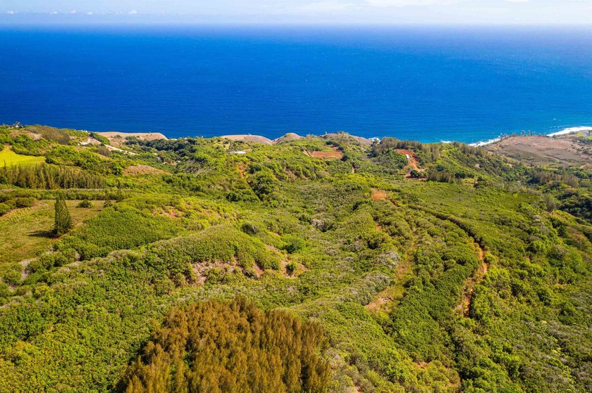 Pristine 370 acres located in Waihe'e Valley on the North Shore - photo 16