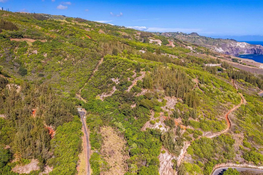Pristine 370 acres located in Waihe'e Valley on the North Shore - photo 25