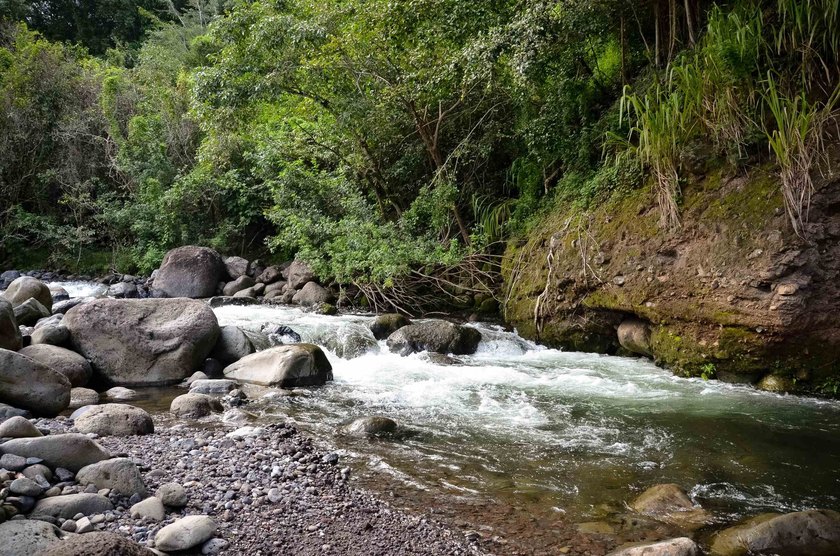 Pristine 370 acres located in Waihe'e Valley on the North Shore - photo 28
