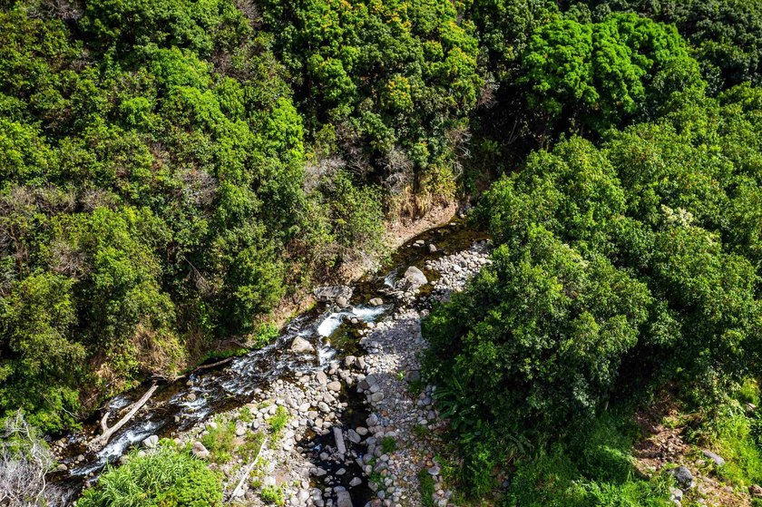 Pristine 370 acres located in Waihe'e Valley on the North Shore - photo 30