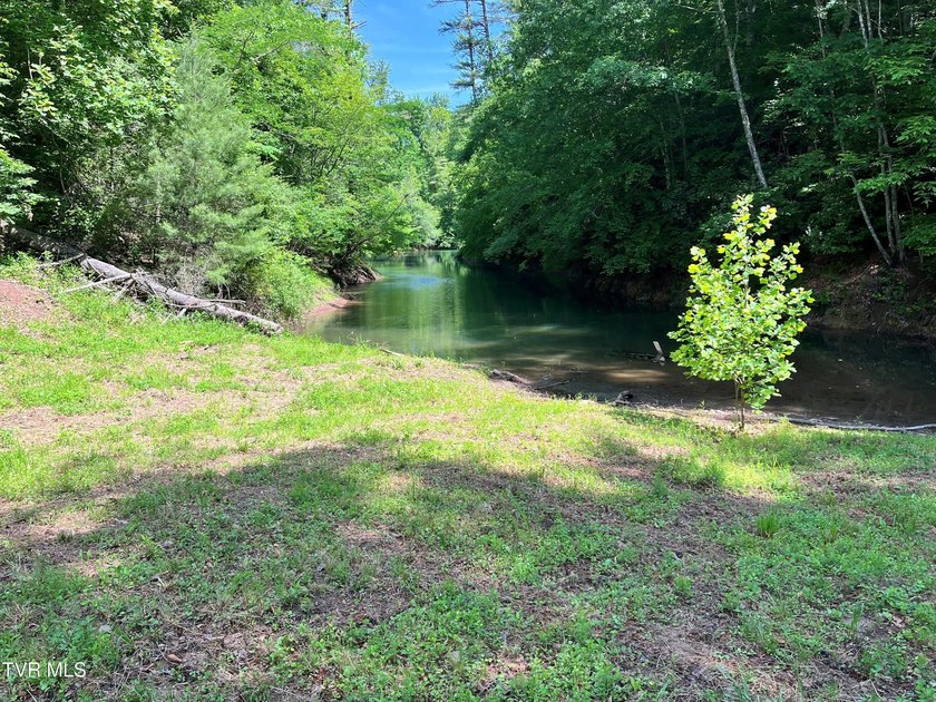 Very few Watauga Lake properties offer the whole cove, as this - photo 4