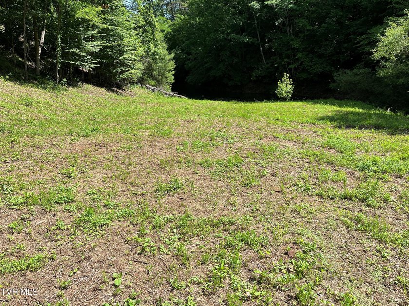Very few Watauga Lake properties offer the whole cove, as this - photo 5