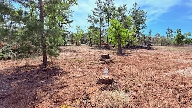 KEATON BEACH LOVERS! Welcome to this 0.69-acre lot in the gated - photo 6