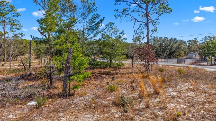 KEATON BEACH LOVERS! Welcome to this 0.69-acre lot in the gated - photo 7