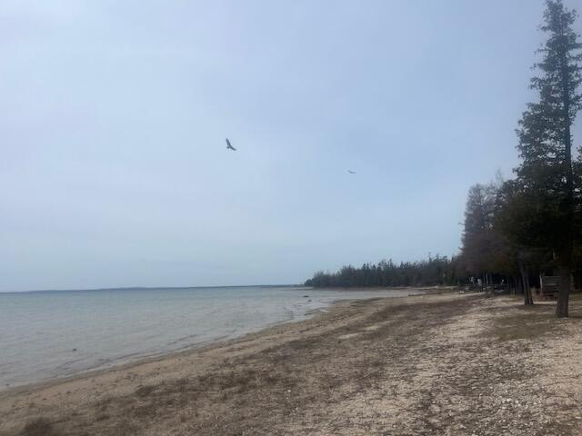 Lake Huron living out your backdoor and all it has to offer from - photo 23