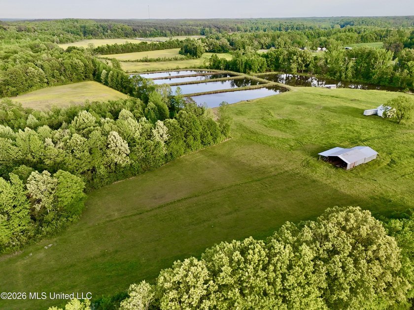 This exceptional 176+/- acre tract in Tippah County offers a - photo 11