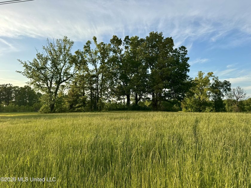 This exceptional 176+/- acre tract in Tippah County offers a - photo 17