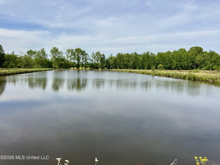 This exceptional 176+/- acre tract in Tippah County offers a - photo 23