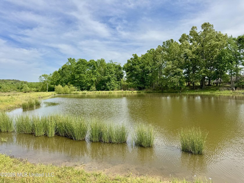 This exceptional 176+/- acre tract in Tippah County offers a - photo 28