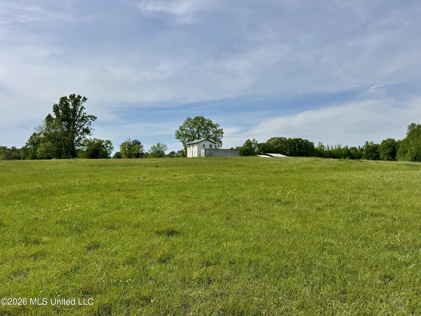 This exceptional 176+/- acre tract in Tippah County offers a - photo 31