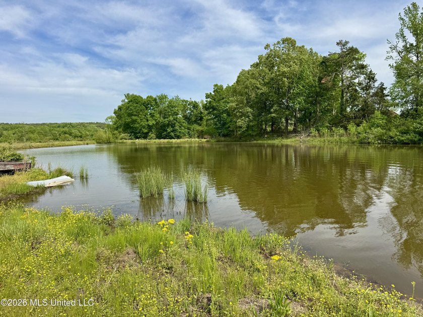 This exceptional 176+/- acre tract in Tippah County offers a - photo 32