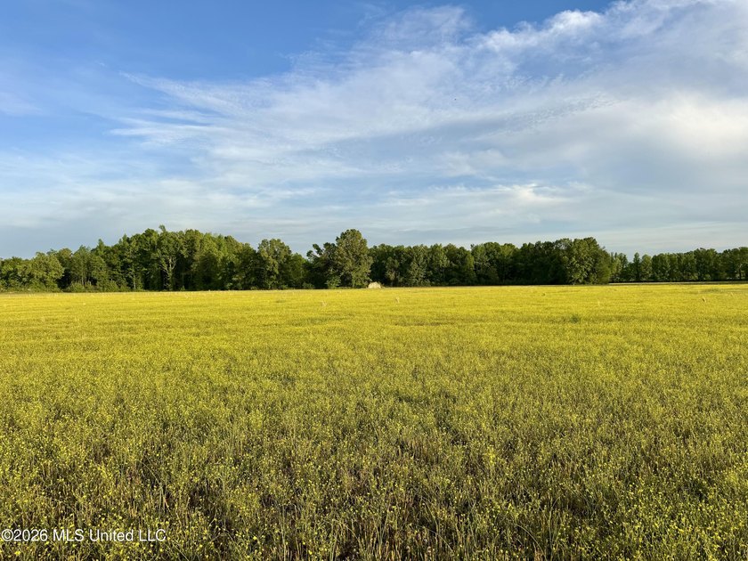 This exceptional 176+/- acre tract in Tippah County offers a - photo 33