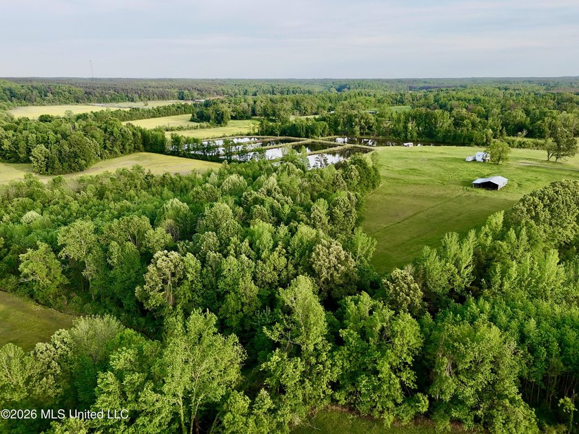 This exceptional 176+/- acre tract in Tippah County offers a - photo 34