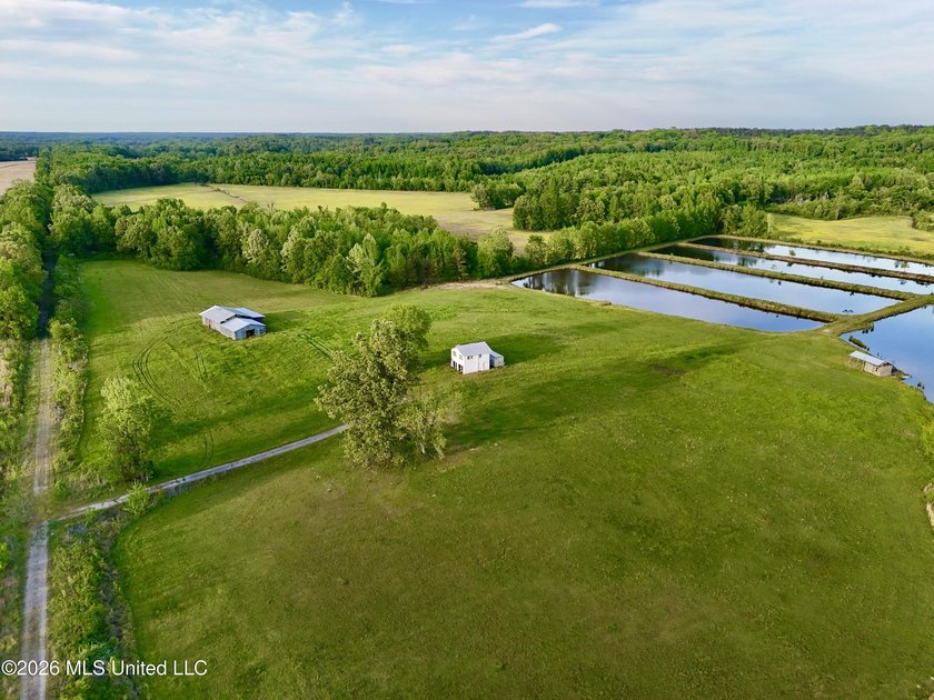 This exceptional 176+/- acre tract in Tippah County offers a - photo 36