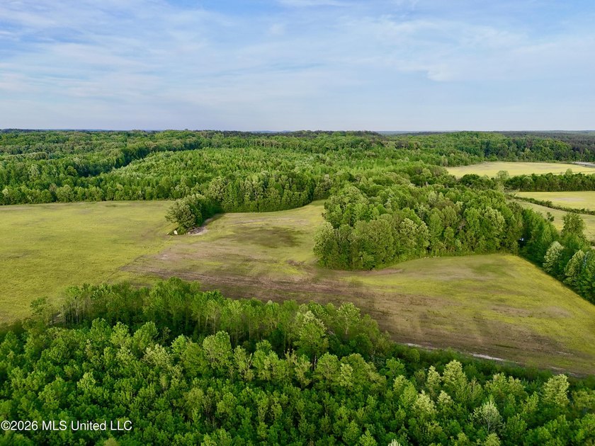 This exceptional 176+/- acre tract in Tippah County offers a - photo 37