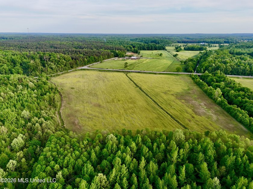 This exceptional 176+/- acre tract in Tippah County offers a - photo 39