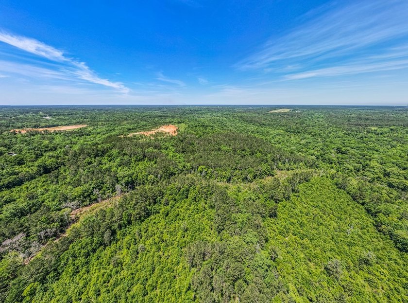 A rare opportunity awaits in the heart of Taylor County - photo 2