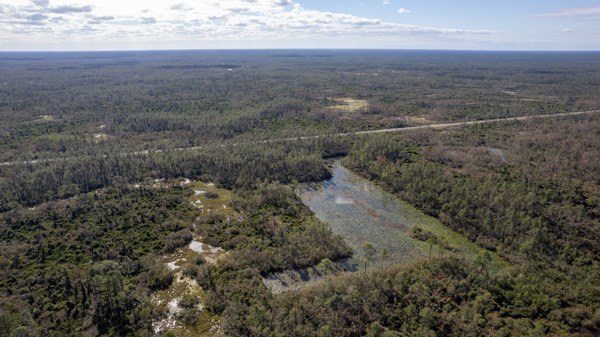 A rare opportunity awaits in the heart of Taylor County - photo 3