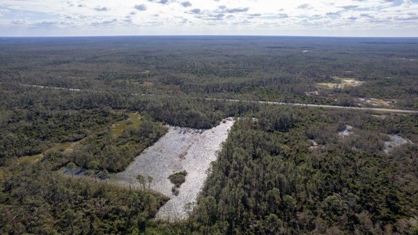 A rare opportunity awaits in the heart of Taylor County - photo 4