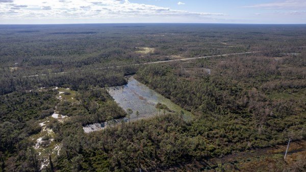 A rare opportunity awaits in the heart of Taylor County - photo 7