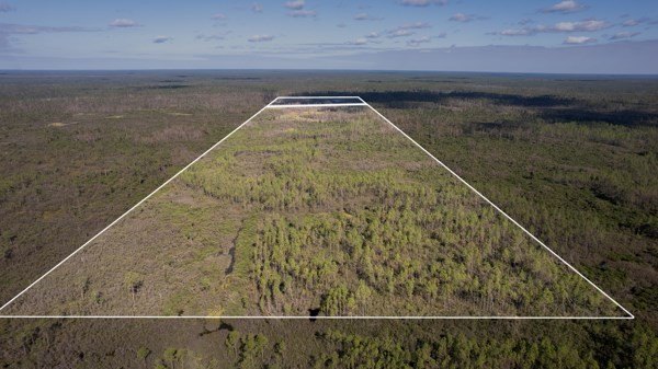 A rare opportunity awaits in the heart of Taylor County - photo 8