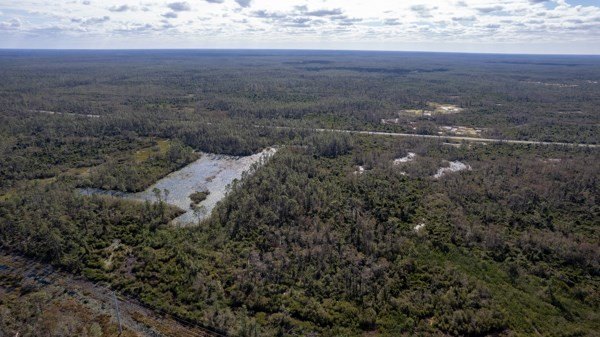 A rare opportunity awaits in the heart of Taylor County - photo 9