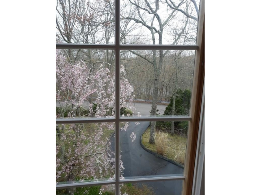 This spectacular scenic opportunity in a highly sought-after - photo 15