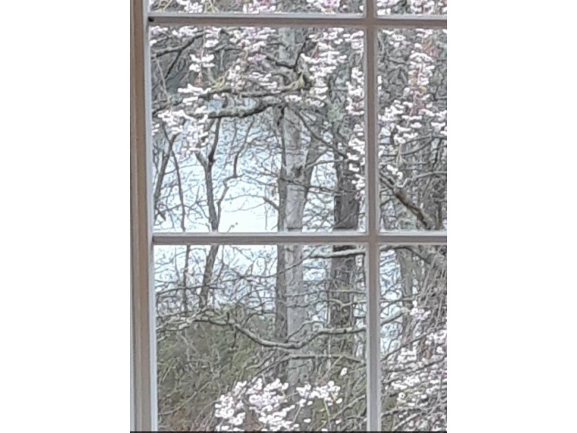 This spectacular scenic opportunity in a highly sought-after - photo 21