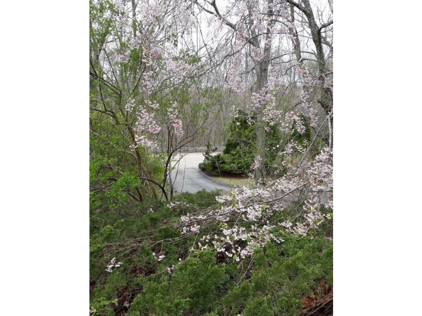 This spectacular scenic opportunity in a highly sought-after - photo 28
