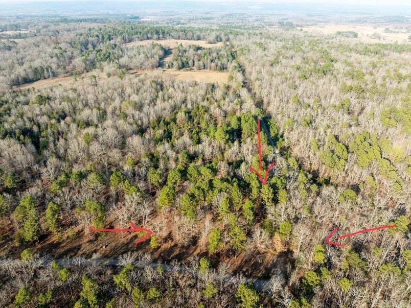Beautiful wooded lot in the desirable Primrose Creek - photo 11