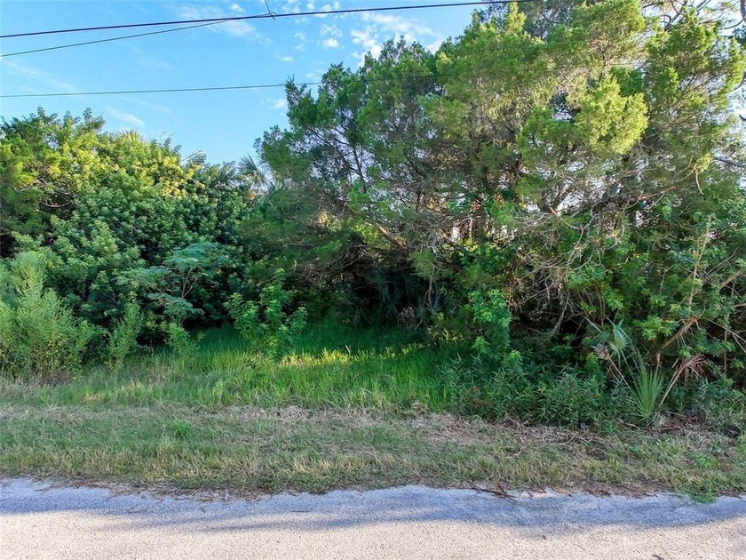 Bring your vision to life on this undeveloped lot in the - photo 12