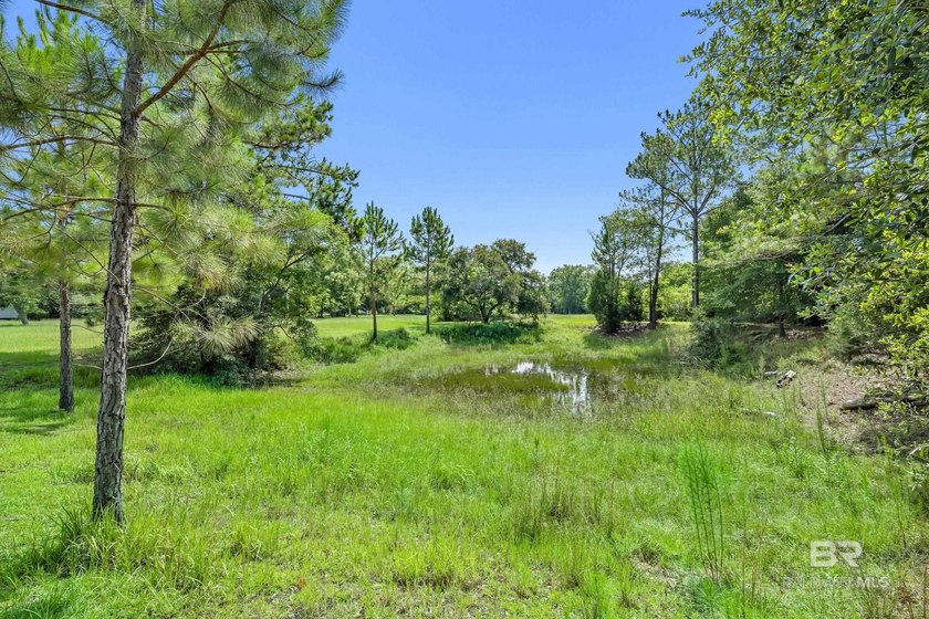 Rare RMH-zoned development opportunity in the middle of Foley's - photo 22