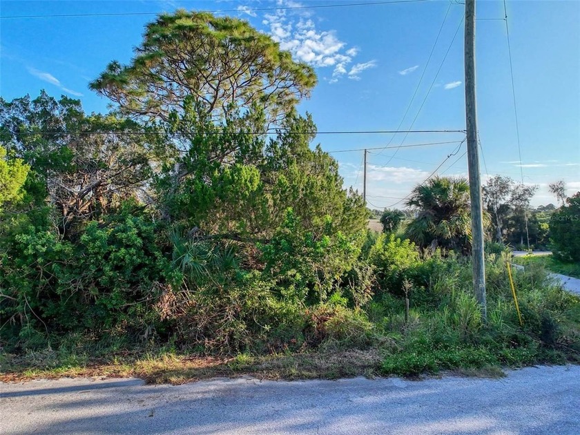 Set your sights on this desirable corner lot in the Driftwood - photo 17