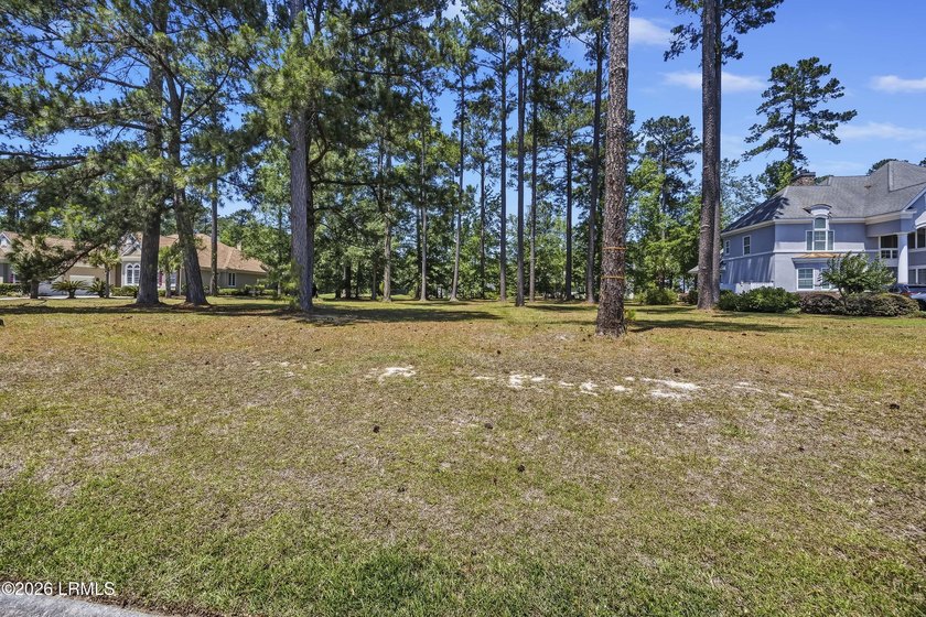 Build your dream home on this exceptional estate-sized homesite - photo 4