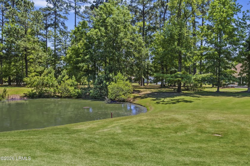 Build your dream home on this exceptional estate-sized homesite - photo 8