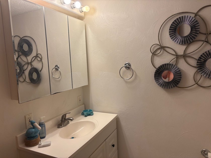 This beautifully remodeled home has 2 Bedrooms with Master - photo 19