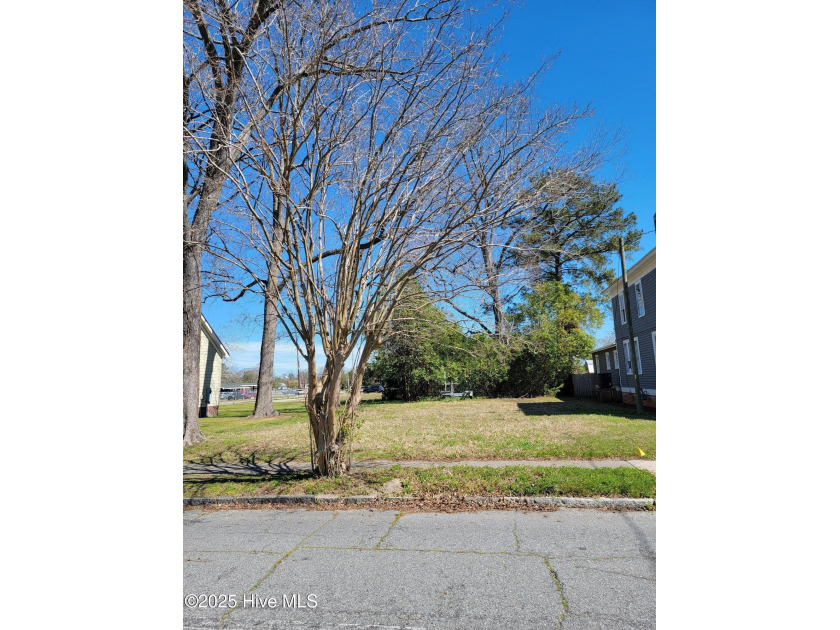 RARE BUILDING LOT LOCATED 2 BLOCKS FROM THE RIVER IN - photo 3
